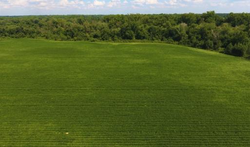 Photo of UNDER CONTRACT!  65.57 Acres of Farm and Timber Land For Sale in Wilson County NC!