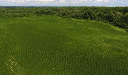 Photo of UNDER CONTRACT!  65.57 Acres of Farm and Timber Land For Sale in Wilson County NC!