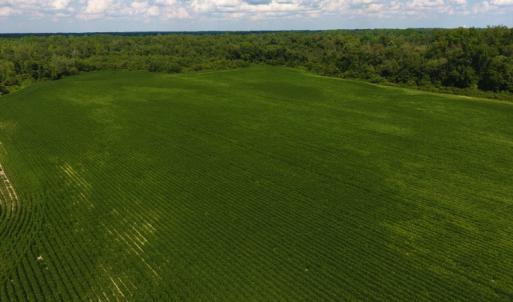 Photo of UNDER CONTRACT!  65.57 Acres of Farm and Timber Land For Sale in Wilson County NC!