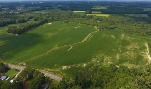 Photo of UNDER CONTRACT!  65.57 Acres of Farm and Timber Land For Sale in Wilson County NC!