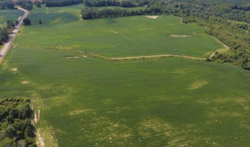 Photo of UNDER CONTRACT!  65.57 Acres of Farm and Timber Land For Sale in Wilson County NC!