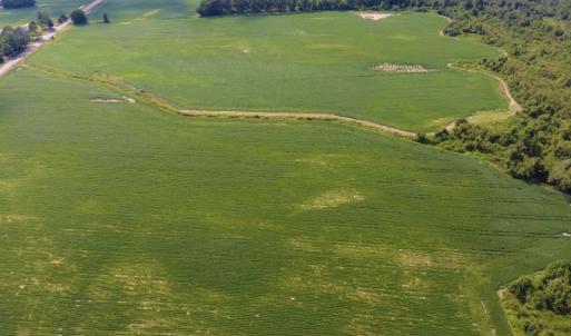 Photo of UNDER CONTRACT!  65.57 Acres of Farm and Timber Land For Sale in Wilson County NC!