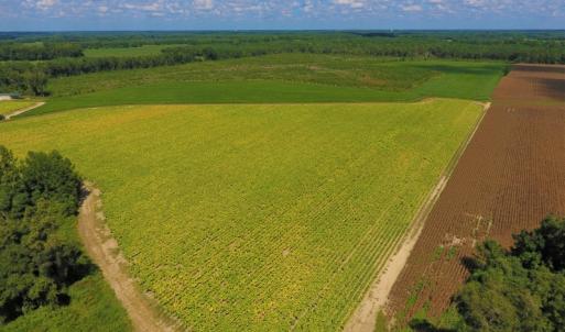 Photo of UNDER CONTRACT!  92.6 Acres of Farm and Timber Land For Sale in Wilson County NC!