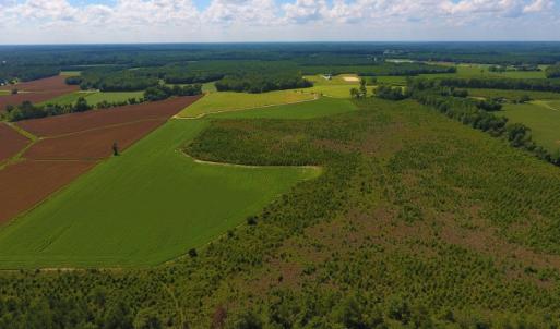 Photo of UNDER CONTRACT!  92.6 Acres of Farm and Timber Land For Sale in Wilson County NC!