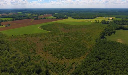 Photo of UNDER CONTRACT!  92.6 Acres of Farm and Timber Land For Sale in Wilson County NC!