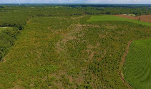 Photo of UNDER CONTRACT!  92.6 Acres of Farm and Timber Land For Sale in Wilson County NC!