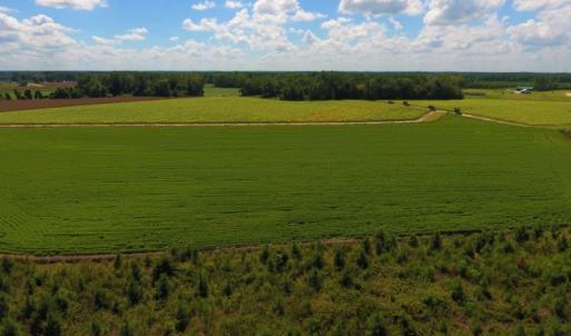 Photo of UNDER CONTRACT!  92.6 Acres of Farm and Timber Land For Sale in Wilson County NC!