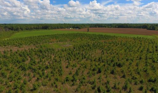 Photo of UNDER CONTRACT!  92.6 Acres of Farm and Timber Land For Sale in Wilson County NC!