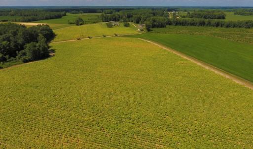 Photo of UNDER CONTRACT!  92.6 Acres of Farm and Timber Land For Sale in Wilson County NC!