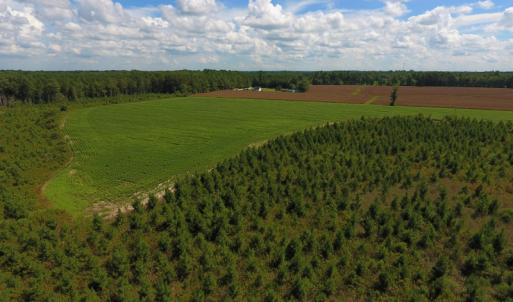 Photo of UNDER CONTRACT!  92.6 Acres of Farm and Timber Land For Sale in Wilson County NC!