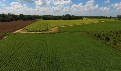 Photo of UNDER CONTRACT!  92.6 Acres of Farm and Timber Land For Sale in Wilson County NC!