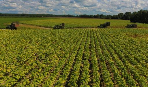 Photo of UNDER CONTRACT!  92.6 Acres of Farm and Timber Land For Sale in Wilson County NC!