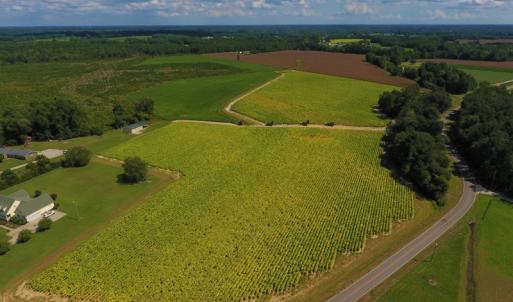 Photo of UNDER CONTRACT!  92.6 Acres of Farm and Timber Land For Sale in Wilson County NC!