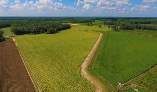 Photo of UNDER CONTRACT!  92.6 Acres of Farm and Timber Land For Sale in Wilson County NC!