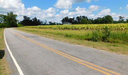 Photo of UNDER CONTRACT!  92.6 Acres of Farm and Timber Land For Sale in Wilson County NC!
