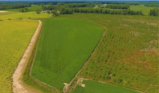 Photo of UNDER CONTRACT!  92.6 Acres of Farm and Timber Land For Sale in Wilson County NC!