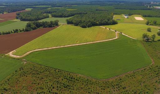 Photo of UNDER CONTRACT!  92.6 Acres of Farm and Timber Land For Sale in Wilson County NC!