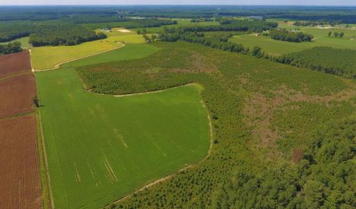 Photo of UNDER CONTRACT!  92.6 Acres of Farm and Timber Land For Sale in Wilson County NC!