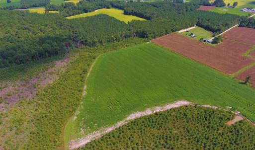 Photo of UNDER CONTRACT!  92.6 Acres of Farm and Timber Land For Sale in Wilson County NC!