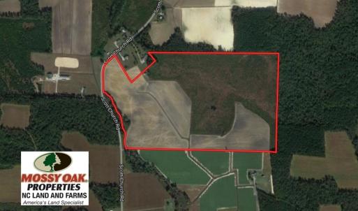 Photo of UNDER CONTRACT!  92.6 Acres of Farm and Timber Land For Sale in Wilson County NC!
