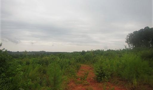 Photo of UNDER CONTRACT!  98 Acres of Hunting and Investment Land For Sale in Charlotte County VA!