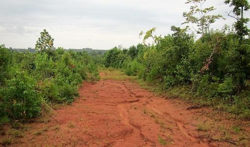 Photo of UNDER CONTRACT!  98 Acres of Hunting and Investment Land For Sale in Charlotte County VA!