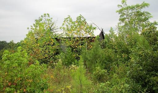 Photo of UNDER CONTRACT!  98 Acres of Hunting and Investment Land For Sale in Charlotte County VA!