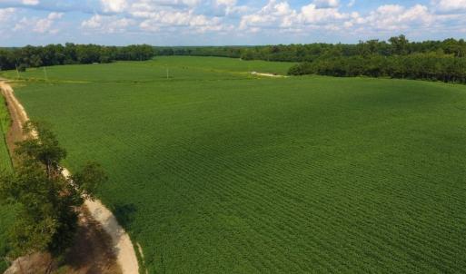 Photo of UNDER CONTRACT!  128.25 Acres of Farm and Timber Land For Sale In Wilson County NC!