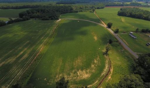 Photo of UNDER CONTRACT!  128.25 Acres of Farm and Timber Land For Sale In Wilson County NC!