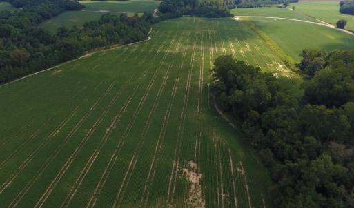 Photo of UNDER CONTRACT!  128.25 Acres of Farm and Timber Land For Sale In Wilson County NC!