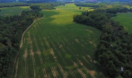 Photo of UNDER CONTRACT!  128.25 Acres of Farm and Timber Land For Sale In Wilson County NC!