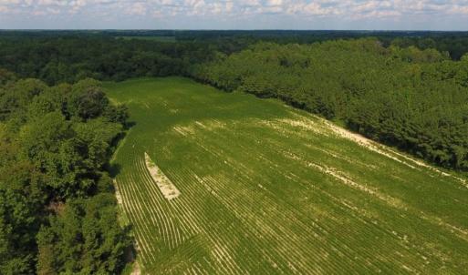 Photo of UNDER CONTRACT!  128.25 Acres of Farm and Timber Land For Sale In Wilson County NC!