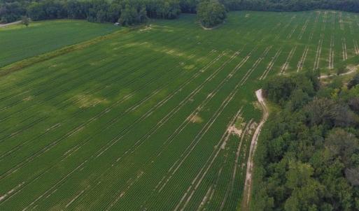 Photo of UNDER CONTRACT!  128.25 Acres of Farm and Timber Land For Sale In Wilson County NC!