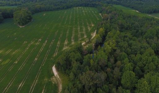 Photo of UNDER CONTRACT!  128.25 Acres of Farm and Timber Land For Sale In Wilson County NC!