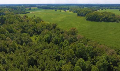 Photo of UNDER CONTRACT!  128.25 Acres of Farm and Timber Land For Sale In Wilson County NC!