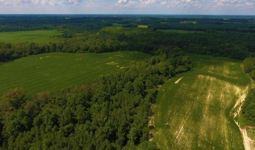 Photo of UNDER CONTRACT!  128.25 Acres of Farm and Timber Land For Sale In Wilson County NC!