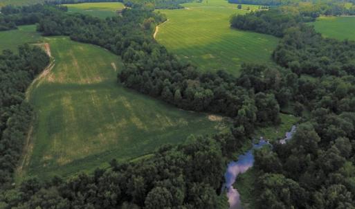 Photo of UNDER CONTRACT!  128.25 Acres of Farm and Timber Land For Sale In Wilson County NC!