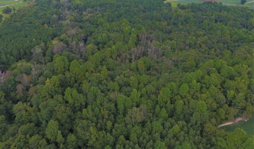 Photo of UNDER CONTRACT!  128.25 Acres of Farm and Timber Land For Sale In Wilson County NC!