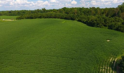 Photo of UNDER CONTRACT!  128.25 Acres of Farm and Timber Land For Sale In Wilson County NC!