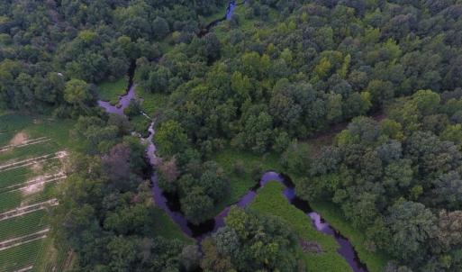 Photo of UNDER CONTRACT!  128.25 Acres of Farm and Timber Land For Sale In Wilson County NC!