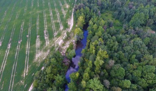 Photo of UNDER CONTRACT!  128.25 Acres of Farm and Timber Land For Sale In Wilson County NC!
