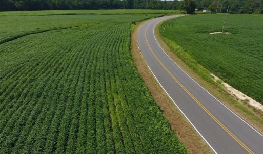 Photo of UNDER CONTRACT!  128.25 Acres of Farm and Timber Land For Sale In Wilson County NC!