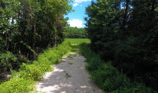 Photo of UNDER CONTRACT!  128.25 Acres of Farm and Timber Land For Sale In Wilson County NC!