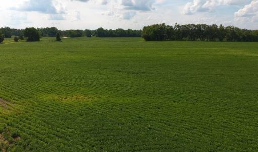 Photo of UNDER CONTRACT!  128.25 Acres of Farm and Timber Land For Sale In Wilson County NC!