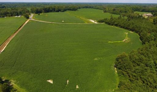 Photo of UNDER CONTRACT!  128.25 Acres of Farm and Timber Land For Sale In Wilson County NC!