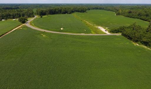 Photo of UNDER CONTRACT!  128.25 Acres of Farm and Timber Land For Sale In Wilson County NC!