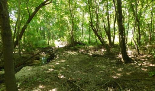 Photo of UNDER CONTRACT!  128.25 Acres of Farm and Timber Land For Sale In Wilson County NC!