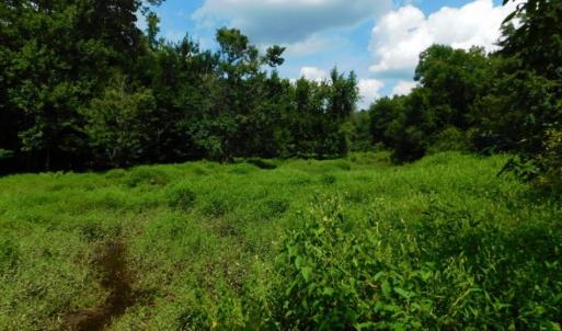 Photo of UNDER CONTRACT!  128.25 Acres of Farm and Timber Land For Sale In Wilson County NC!