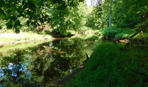 Photo of UNDER CONTRACT!  128.25 Acres of Farm and Timber Land For Sale In Wilson County NC!