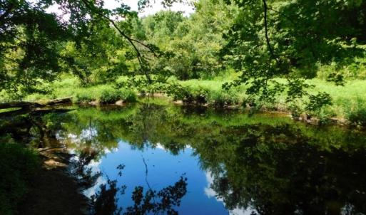Photo of UNDER CONTRACT!  128.25 Acres of Farm and Timber Land For Sale In Wilson County NC!
